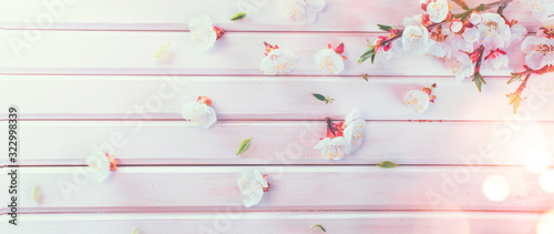 Fotografía Easter Spring Blossom on white wooden plank background