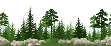 Seamless Horizontal Summer Landscape With Green Pine, Fir Trees, Bushes And Grass On The Stones. Vector