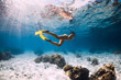 © artifirsov - Woman glides underwater with yellow fins over sandy sea and coral.