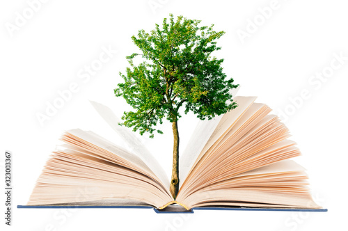 Dekoracja na wymiar  drzewo-wyrastajace-z-otwartej-ksiazki-na-bialym-tle
