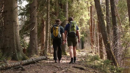 two people hiking in the woods with many trees - they walk on the forest trail path - stock video cl