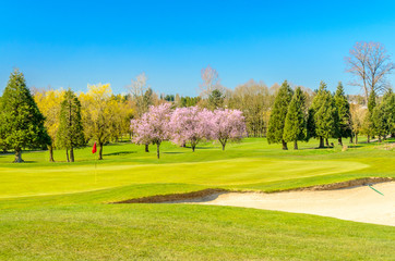 Golf course with gorgeous green and sand bunker