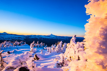 Canvas Print - Ice Coverd Trees - Oregon Mountains