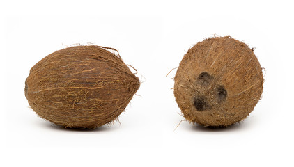 Isolated on a white background whole coconut 2 angles with shadow.