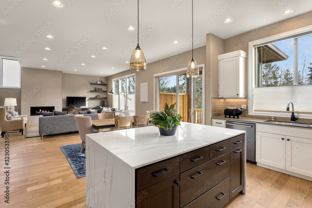 Kitchen and living room interior in new luxury home with open concept ...