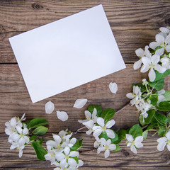 Poster - A branch of a blooming apple tree with white flowers and a sheet of paper on a wooden background, with a copy space