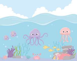 Poster - octopus jellyfish fishes crab reef coral under the sea