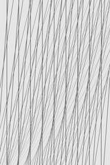 Wall Mural - creative design of lines composition background
