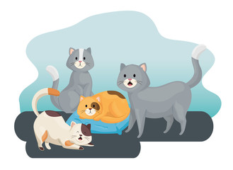 Poster - group of little cats animals vector illustration design