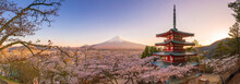 Mountain Fuji And Chureito Pagoda With Cherry Blossom