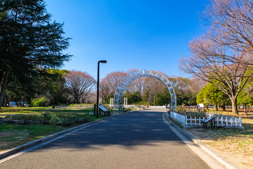 Canvas Print - 代々木公園 冬