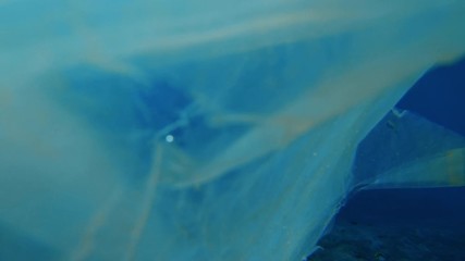 Wall Mural - a plastic bag underwater floating over coral reef full of colorful fish on blue water background