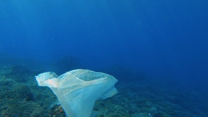 Wall Mural - a plastic bag underwater floating over coral reef full of colorful fish on blue water background