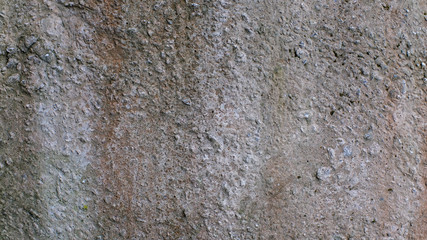 Poster - gray concrete surface with texture. background for the designer
