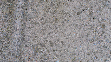 Poster - gray concrete surface with texture. background for the designer