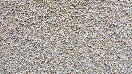 Poster - gray concrete surface with texture. background for the designer