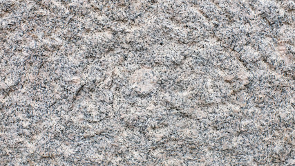 Poster - gray concrete surface with texture. background for the designer