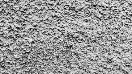 Poster - gray concrete surface with texture. background for the designer