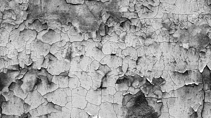 Poster - gray concrete surface with texture. background for the designer