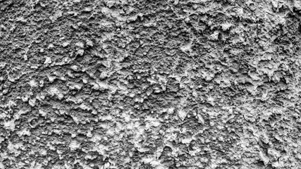 Poster - gray concrete surface with texture. background for the designer
