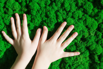 Wall Mural - wall of green decorative moss in the office