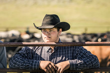 Portrait Of Cowboy Looking Across The Fence During A Branding. Cody, Wyoming, USA