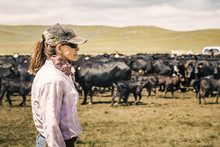 Portrait Or Profile Of A Cowgirl Looking On Out Across The Field During A Branding. Cody, Wyoming, USA