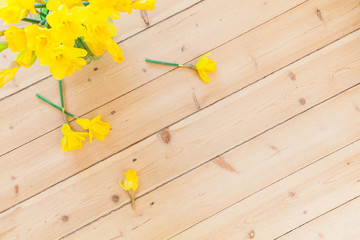 spring background decoration with Easter bells, daffodils flowers on wooden floor in old building. spring decoration or easter decoration. Naturally designing Naturally designing sustainable