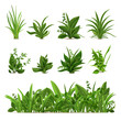 Realistic grass bushes. Green fresh plants, garden seasonal spring and summer greens and herbs, botanical sprout vector isolated set. Natural lawn meadow bushes, floral vegetation border