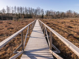 Fototapeta Pomosty - wooden footbridge