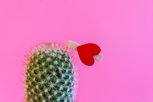 Red Heart On A Cactus On A Pink Background. Relationship Problem Stuck With Wrong Person. The Concept Of Unhappy Love. Relationship Pain Concept