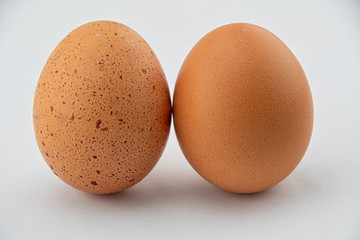 Two chicken eggs