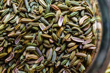 Download Fennel Seeds Free Stock Photo Public Domain Pictures PSD Mockup Templates