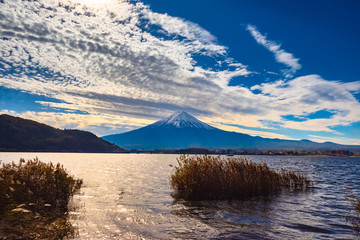 Wall Mural - Kawaguchiko. Japan Fuji. Panorama of lake Kawaguchiko. Japanese landscape. Volcano of Fuji on a sunny day. Landscape of the autumn lake. Japan mountain. Single Kawaguchiko Tours. Travel to East Asia