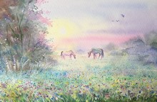 Watercolor Two Beautiful White And Brown Horses Graze In The Meadow. Ponies Are Standing In The Grass. Sunset And Fog. Horizontal View, Copy-space. Template For Designs , Card, Posters, Calendar.