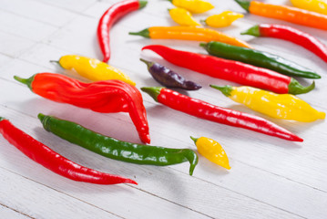 Wall Mural - chili pepper selection on white wood table background