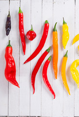 Wall Mural - chili peppers selection on white wood table background