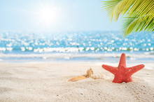 Beautiful Beach Background. Star Fish, Sea Shell On White Sand With Palm Tree And Blur Bokeh Light Of Calm Sea And Sky. Summer Vacation Background Concept.