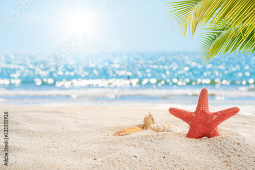 Beautiful Beach Background Star Fish Sea Shell On White Sand With Palm Tree And Blur Bokeh Light Of Calm Sea And Sky Summer Vacation Background Concept Buy This Stock Photo And