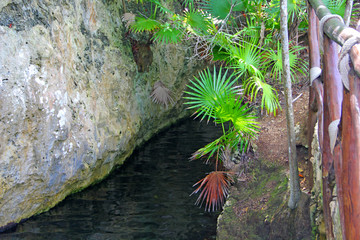 Wall Mural - Nature