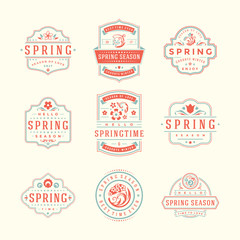 Wall Mural - Spring typographic badges design set vector vintage labels and decoration elements