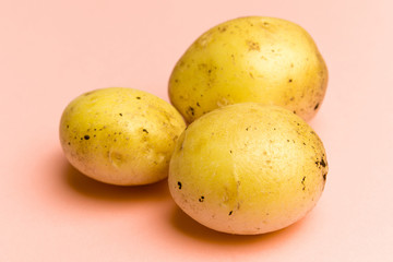 Fresh potatoes on pink background, pattern