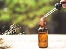 The Essential Oil Falling From Glass Dropper Into Organic Bio Alternative Medicine, Brown Bottle.