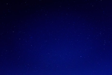 Wall Mural - starry sky texture background. night sky with stars