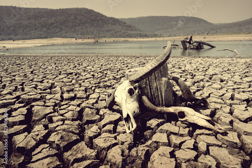 Cuadros en Lienzo cracked earth from arid drought weather in dam or river, hot summer nature and w