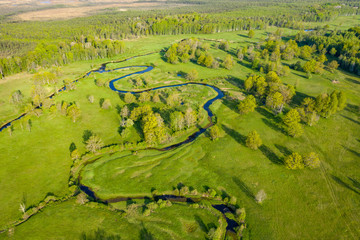 Wall Mural - Forest in summer colors. Green deciduous trees and winding blue river in sunset. Soomaa wooded meadow, Estonia, Europe