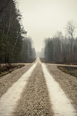 Wall Mural - empty dirty gravel dirt road in forest