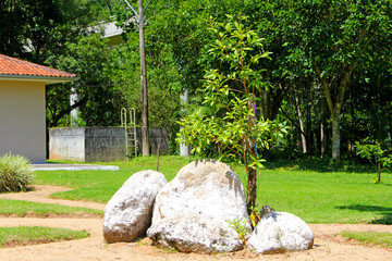 Wall Mural - garden