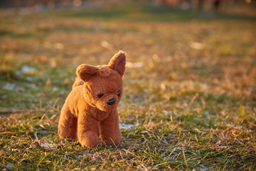 A small brown plush toy dog standing on a autumn sunlit lawn.