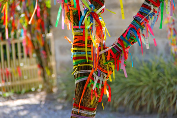 Wall Mural - Colorful ribbons